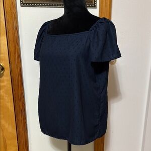 Ann Taylor Blue Boxy Blouse